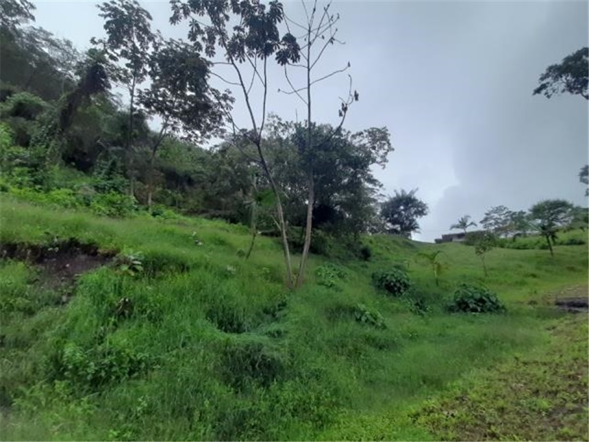 Finca en venta en La portada, Silvania