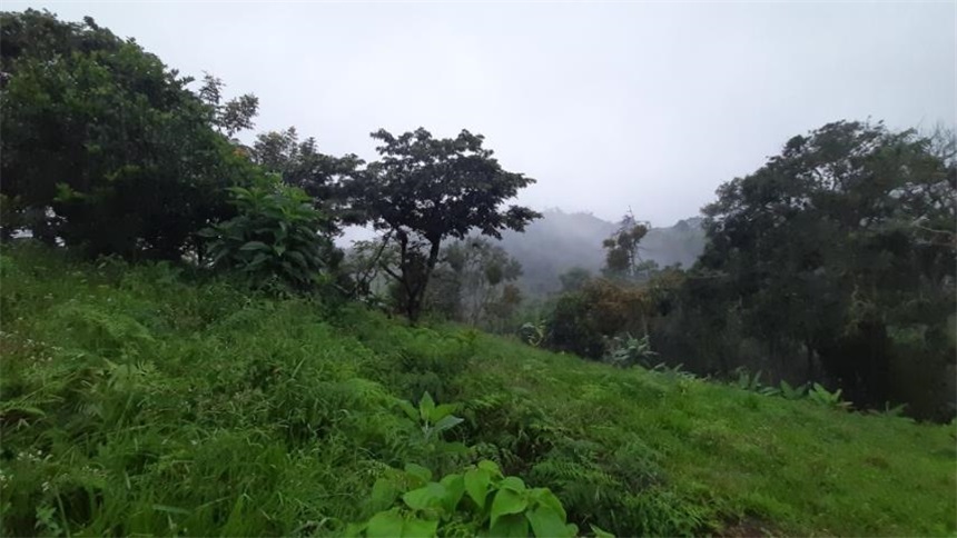 Finca en venta en La portada, Silvania