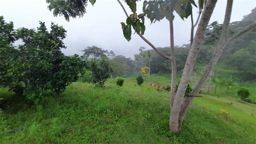 Finca en venta en La portada, Silvania
