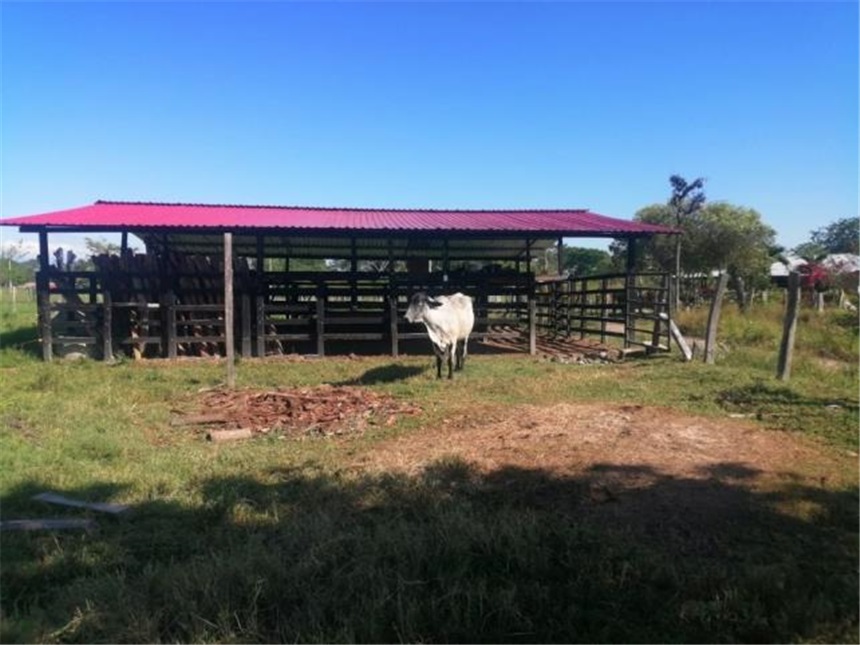Finca en venta en Picaleña y Mirolindo, Ibagué
