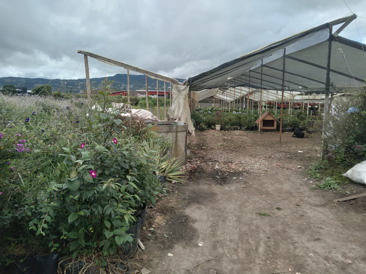 Lote en venta en Fagua, Chía