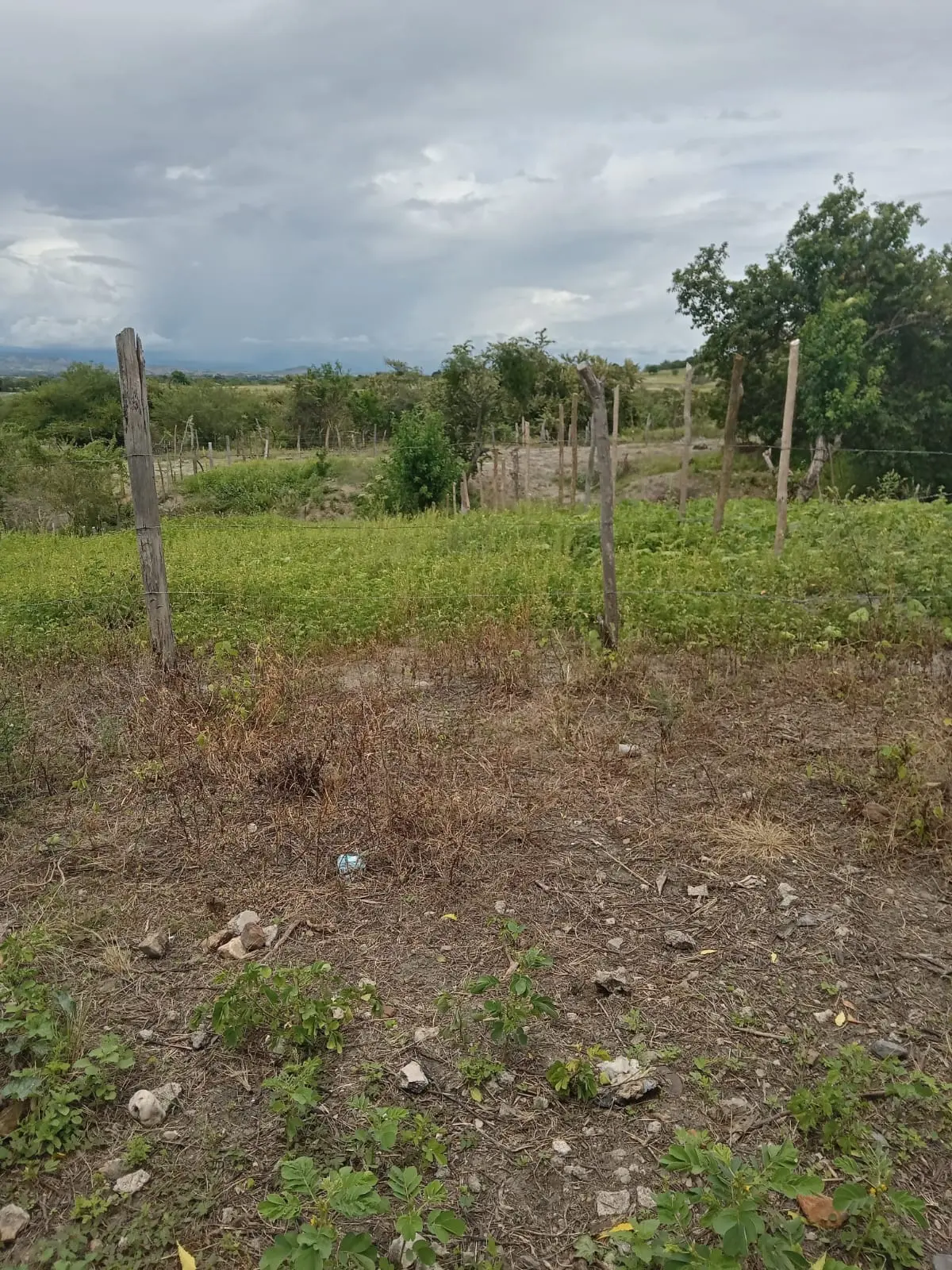 Lote en Venta en La palmita, Natagaima