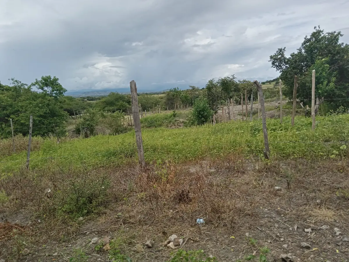 Lote en Venta en La palmita, Natagaima